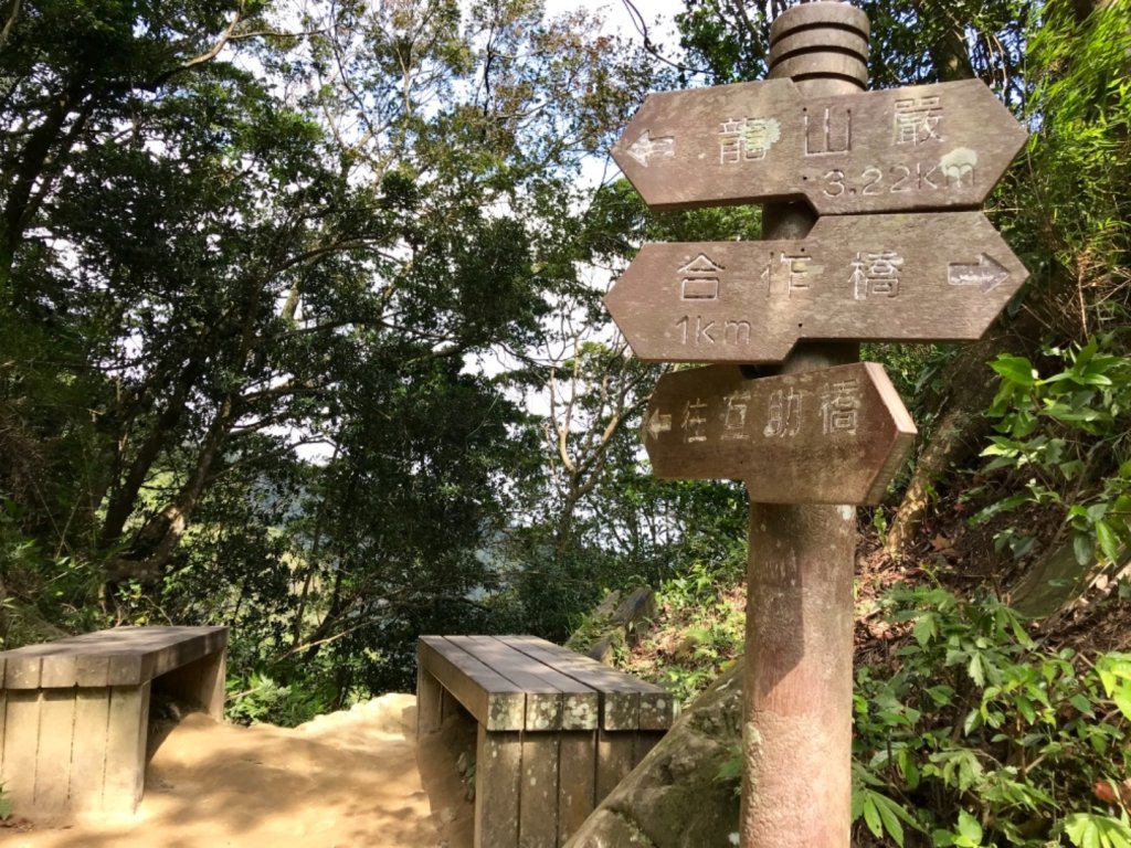 五寮尖上大風狂_448966