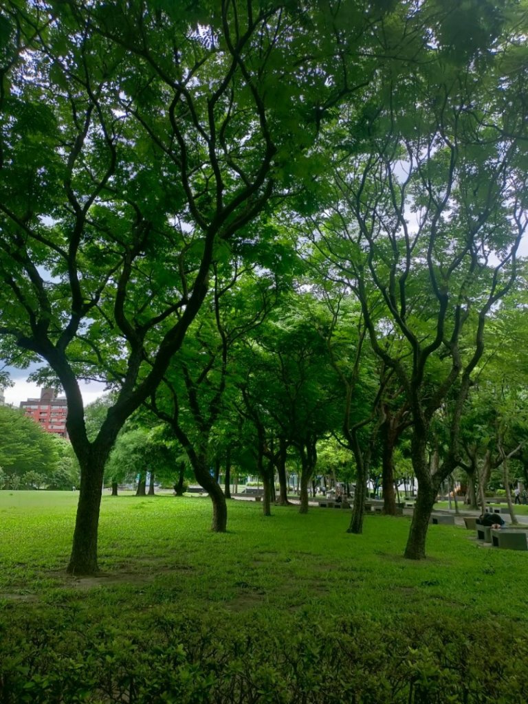 ［健康大穀東，台北趴趴走］（12~14）：榮星、林森、花博公園_2238734