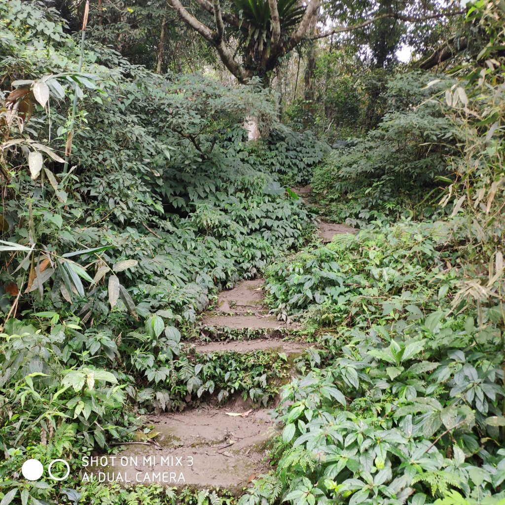 五指山五連峰純路況_530475