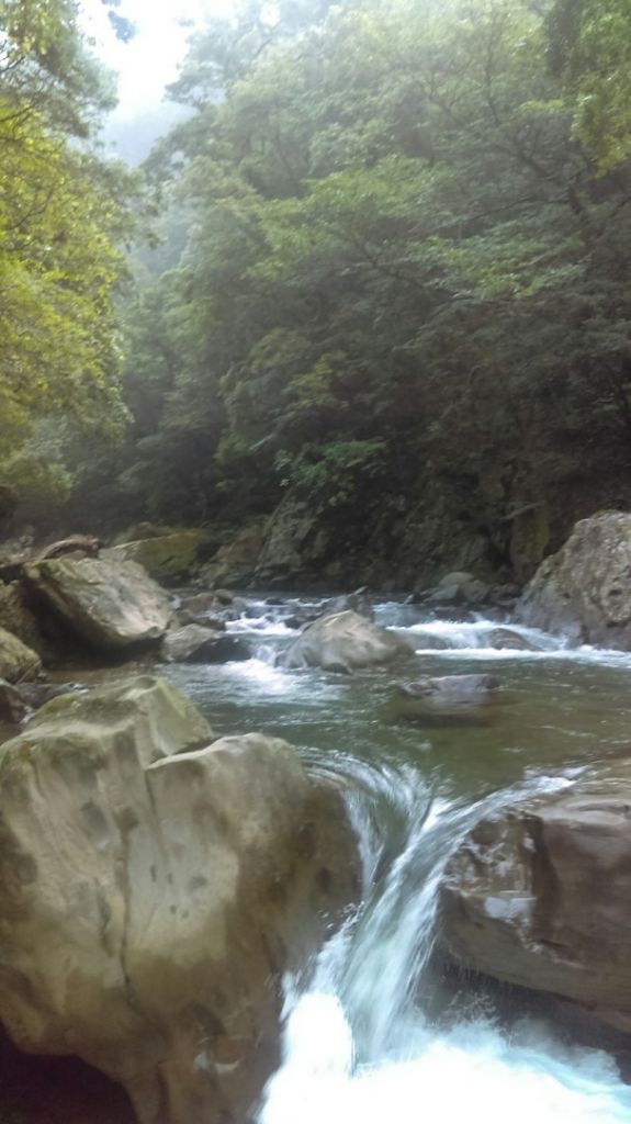 稜山_395898