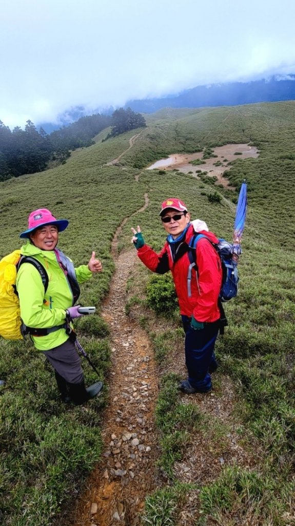 合歡北峰小溪營地下天巒池賞花趣_1733938