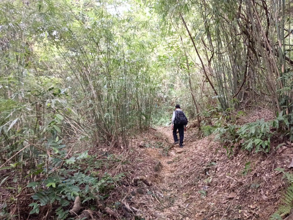 基隆市三層山+湳子大崙+淡基橫斷古道+面桶寮土地公_2982234