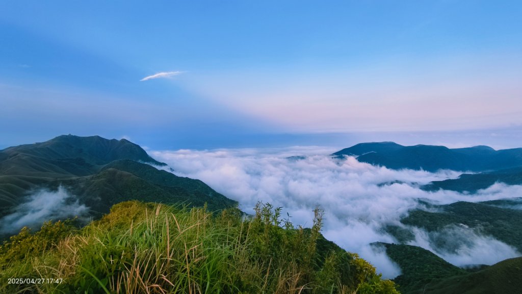 陽明山趴趴走 #琉璃光雲海 ，首拍 #綠鳩 4/27_2772178