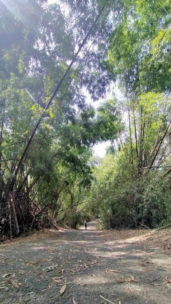 2121/10/09旗尾山環狀_1484265