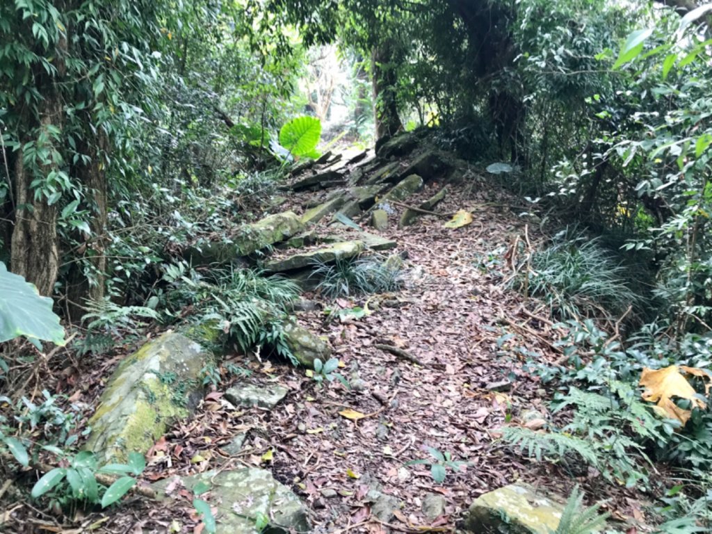 烏山步道走刣牛湖山_468649
