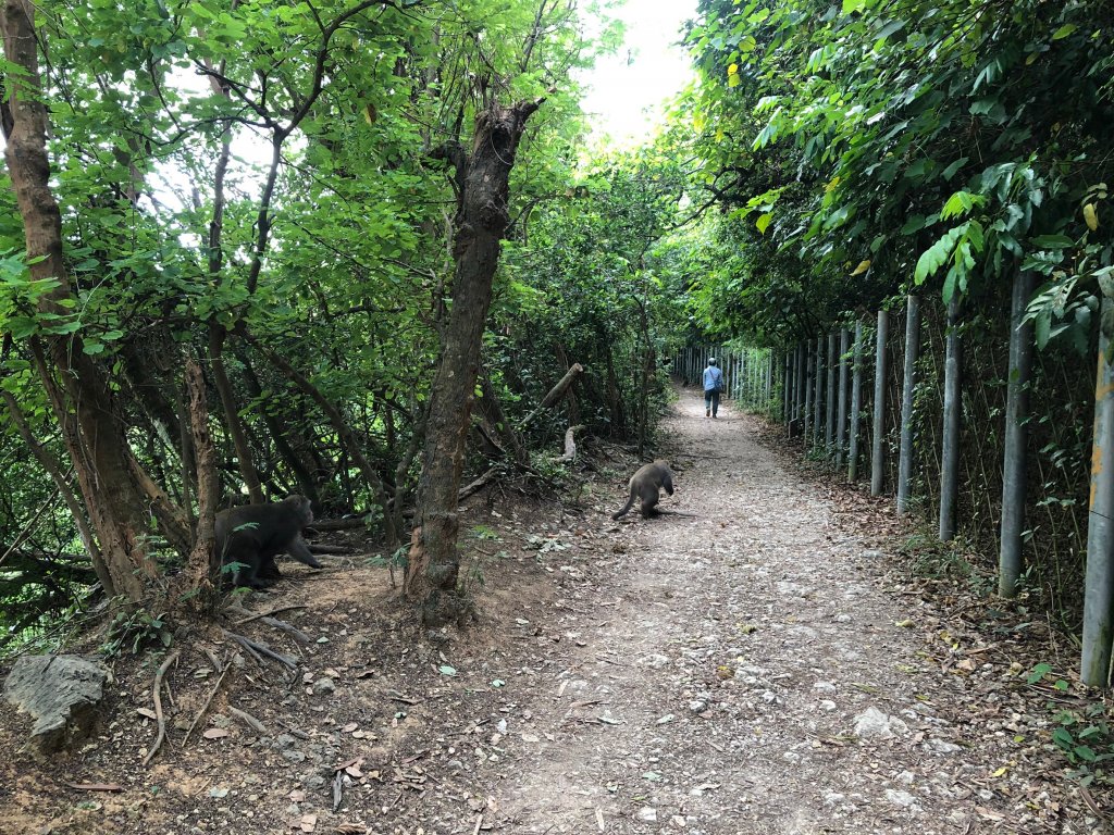 2020.10.01南壽山_1119701