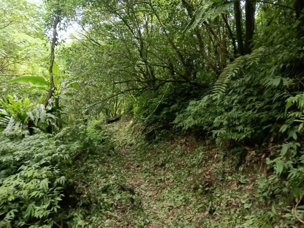 雙溪區柑腳城威惠廟+柑腳城山(下坑山)去回_2796699