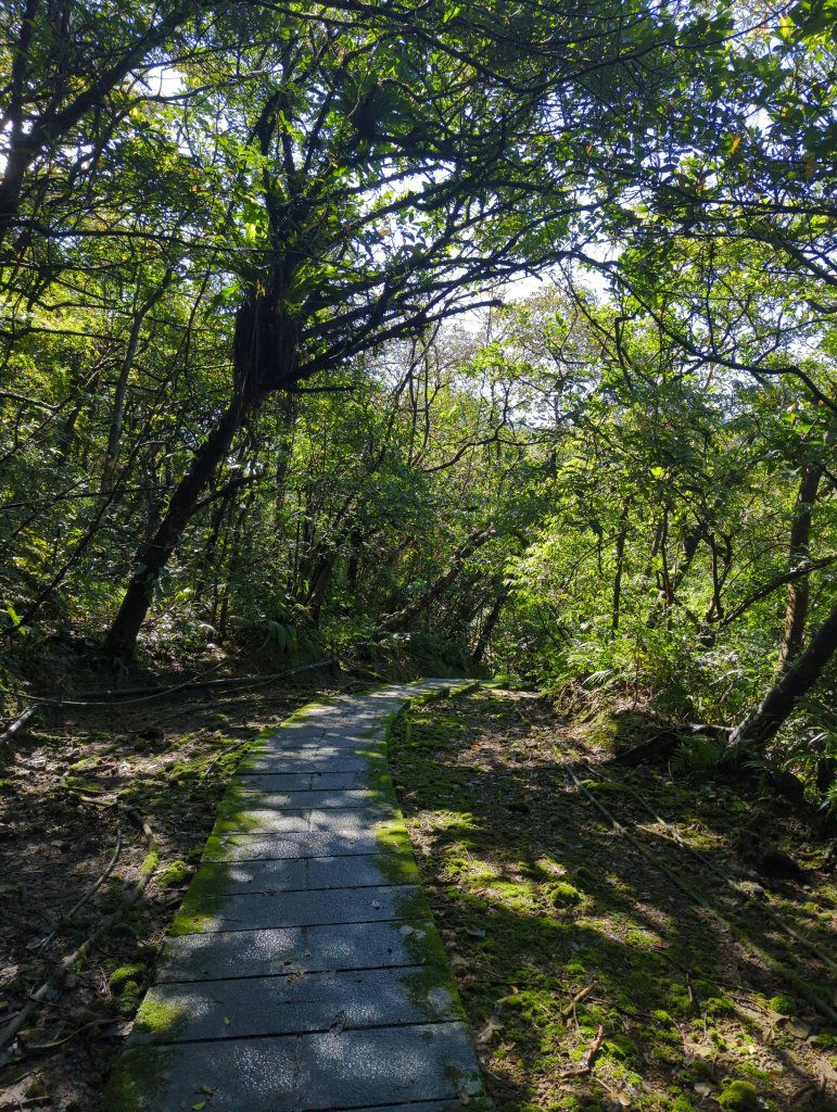 2025.02.15－五分山_2713815