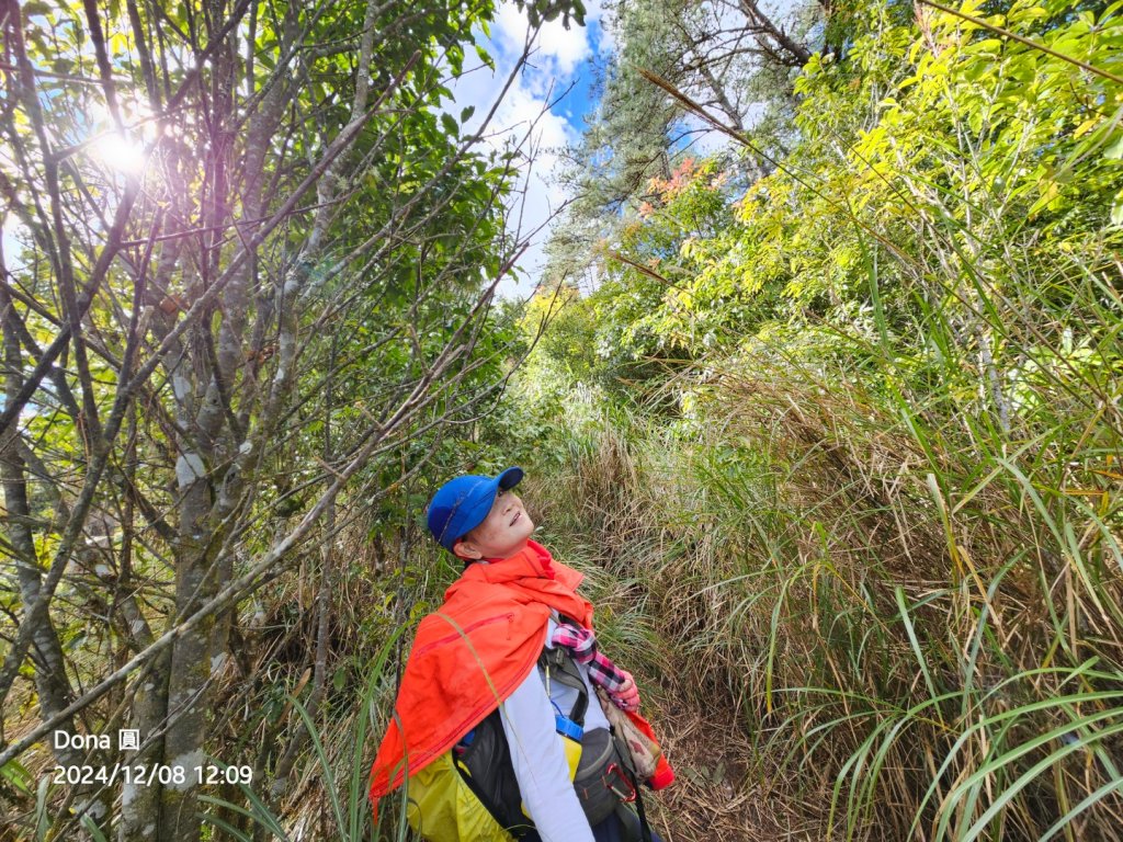 追趕跑跳蹦的羅馬縱走_2666162