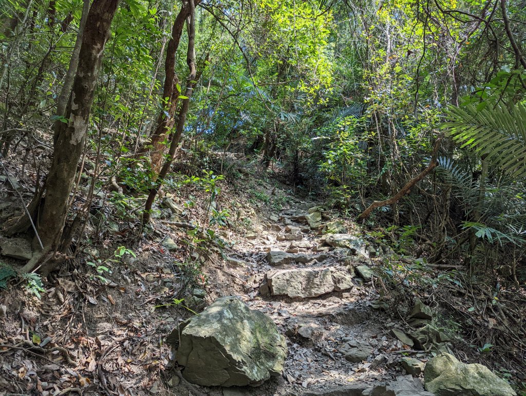 谷關七雄：唐麻丹山（裡冷進、松鶴出）_1861326