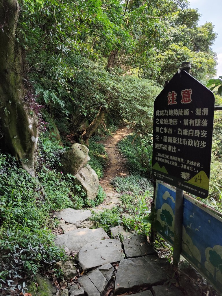 象山公園→六巨石→象山峰→拇指山頂峰登山口→南港山南峰→南港山→九五峰→中華科技大學【臺北大縱走6】_2556164