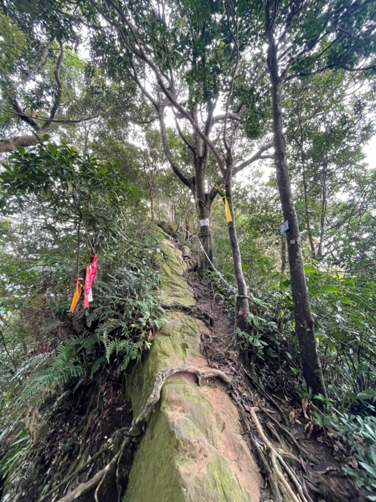 2022森遊竹縣 皮皮獅同樂會 - 石牛山步道 0820_1813543