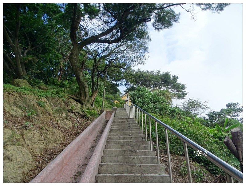 大同山步道/青龍嶺_751936