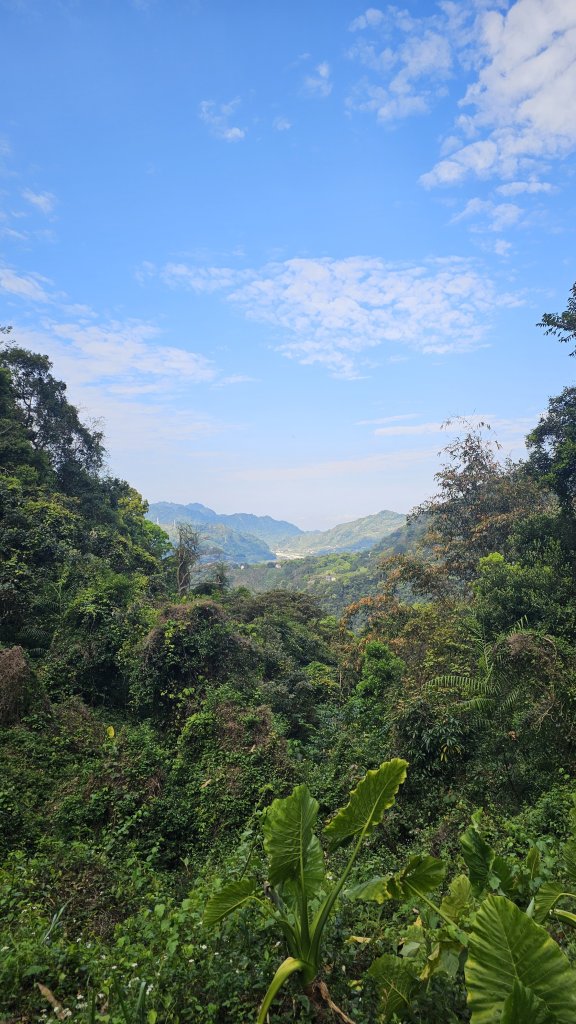 【美美兔走山趣】谷關抓雄-老六白毛_2749939