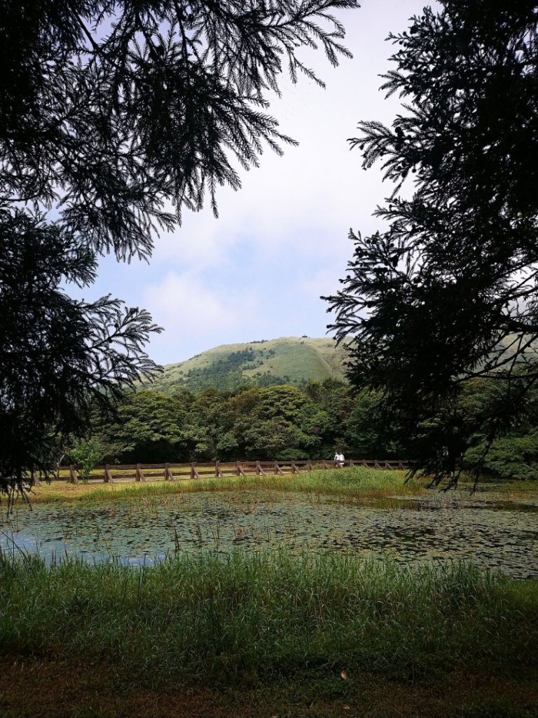 翻山越嶺賞花趣～_586417