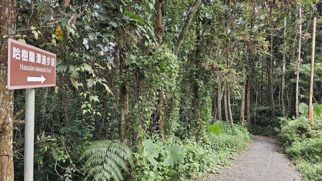 241018-日月潭環潭健走。不在美美兔計劃中的第三趟環湖。_2633626