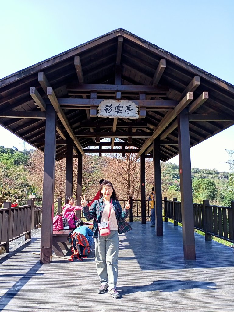 【臺北大縱走 7】貓空站→樟樹、飛龍步道_1254289