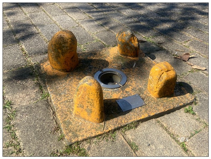 阿里眉山 (日月潭四姝的么妹)_2753041