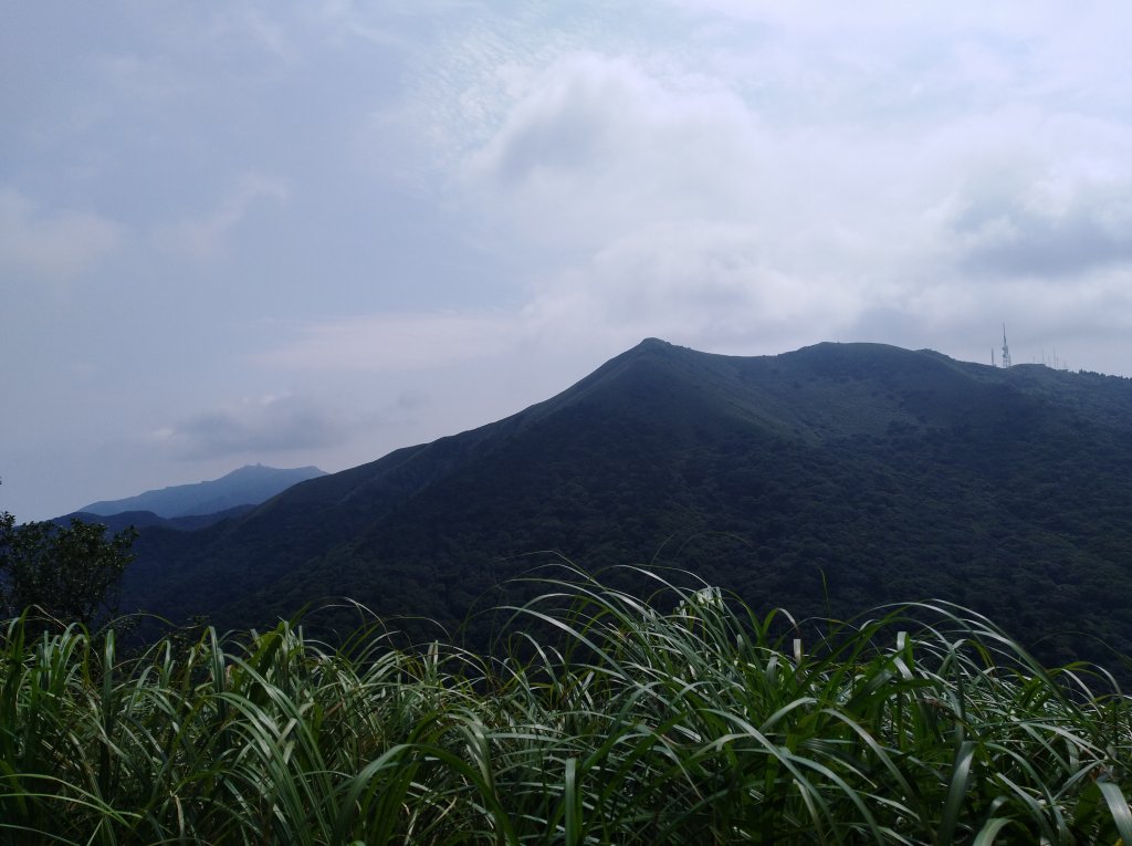 大屯山系｜漫步枕頭山。二子坪漫漫而行_665919