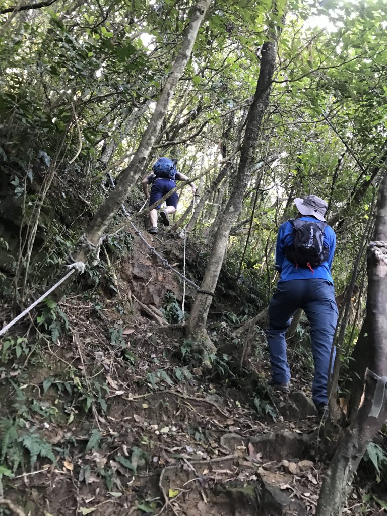 2022.3.13 雪山尾稜北段小O (福隆車站-福卯古道-隆隆山-鶯歌石山-大崛澳山-石城山-福隆_1664491