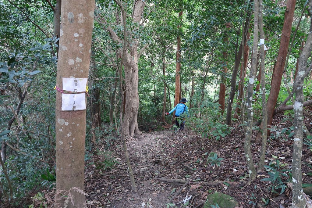 雙石縱走_2771153