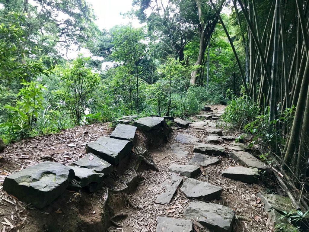 溪頭健走鳳凰山_346263