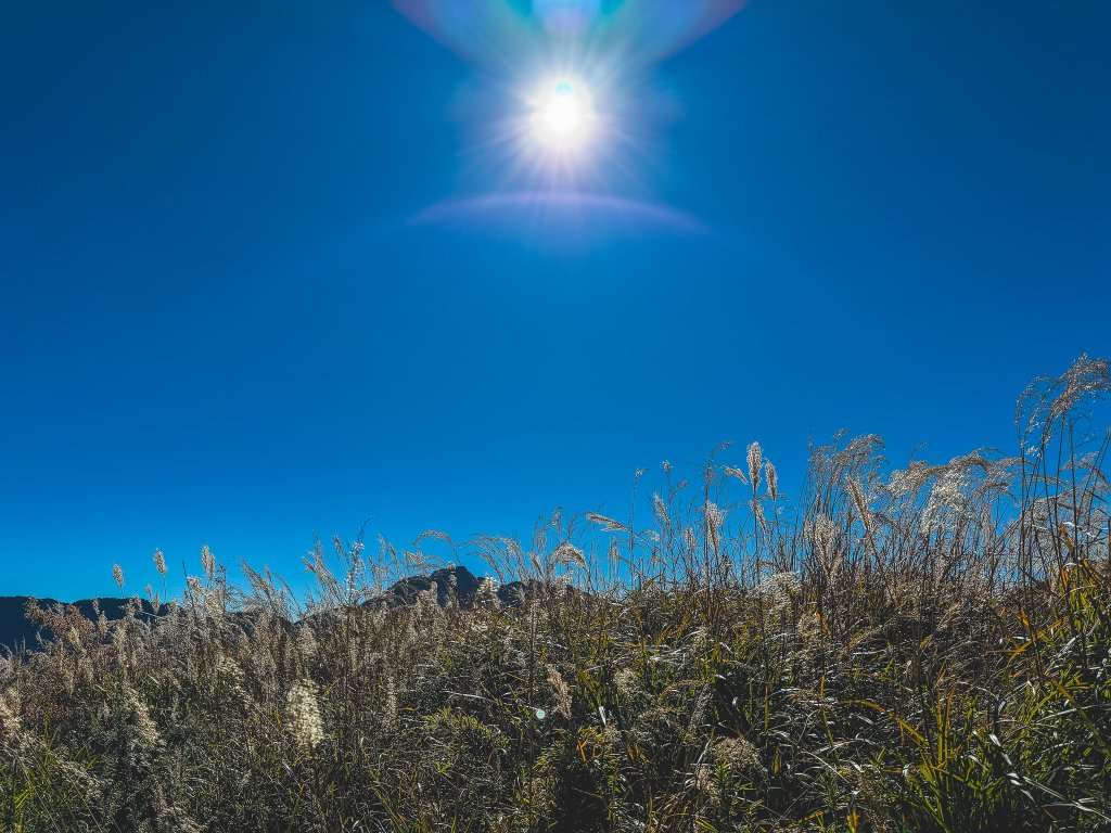 日本帝國廢電線桿之路_2395320