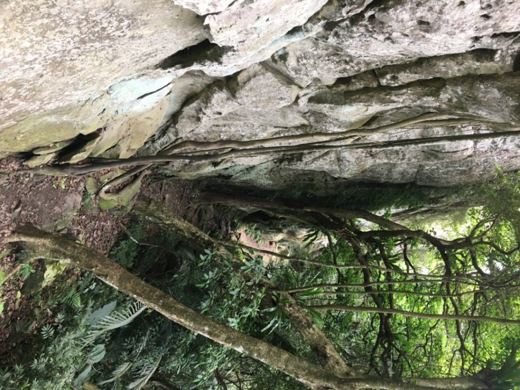 頭寮、石龜坑、白石、草嶺、慈湖_2491835