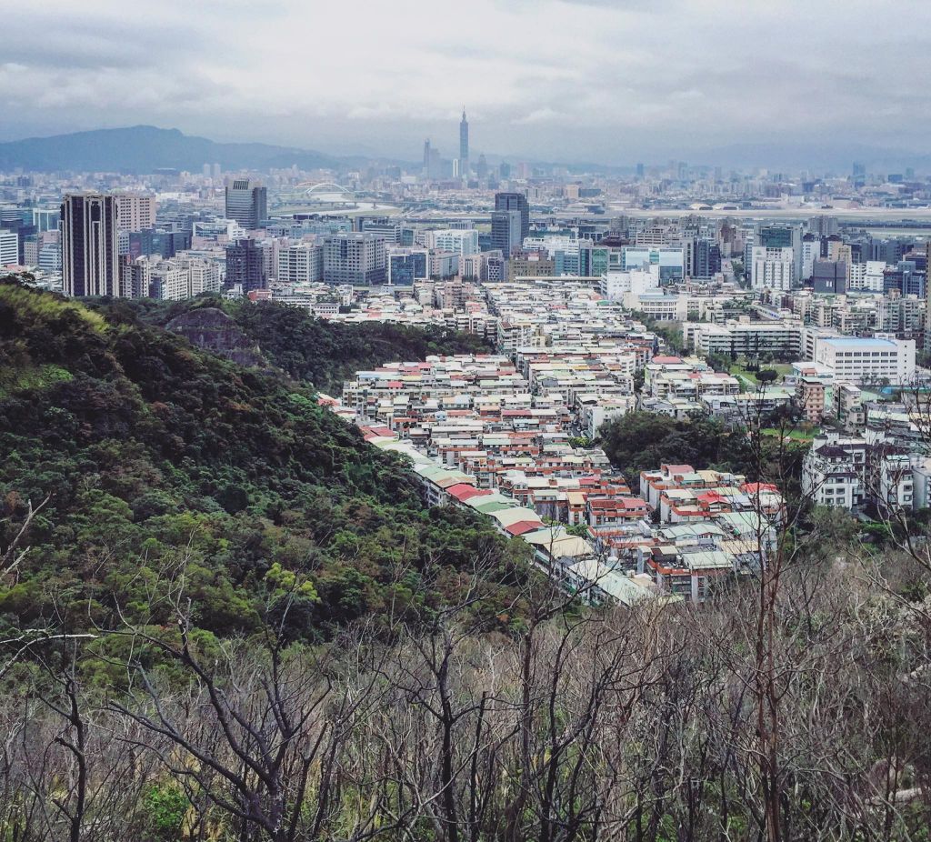 內湖金面山親山步道封面圖