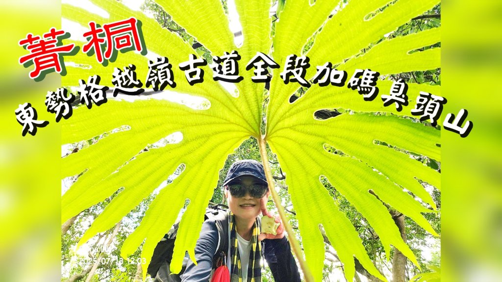 【菁桐】巡山東勢格古道全段加碼臭頭山封面圖