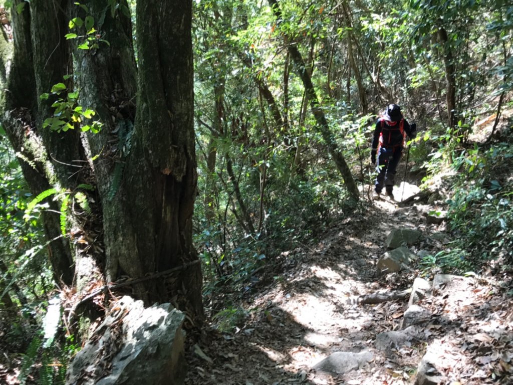 七雄完登波津加_464362