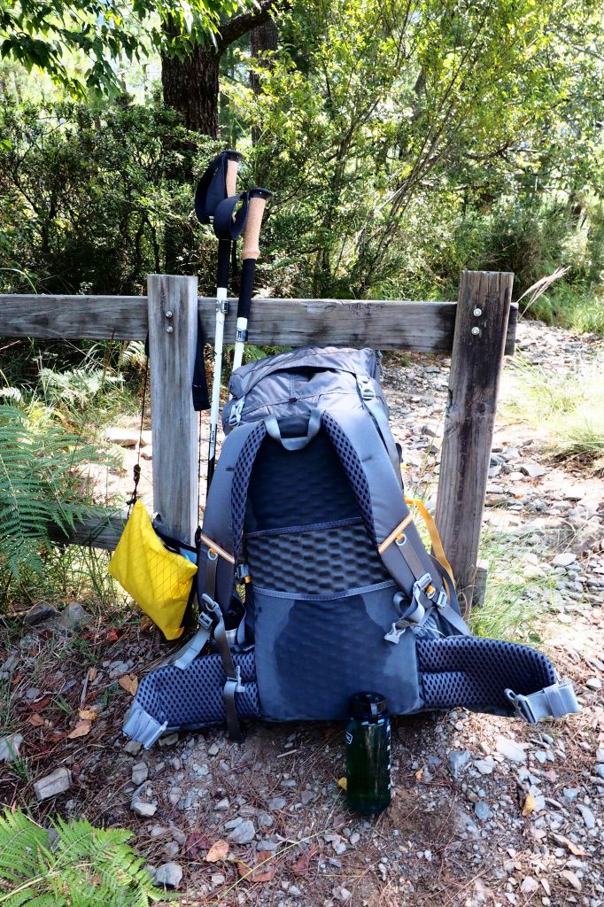 桃山獨走初秋_175001