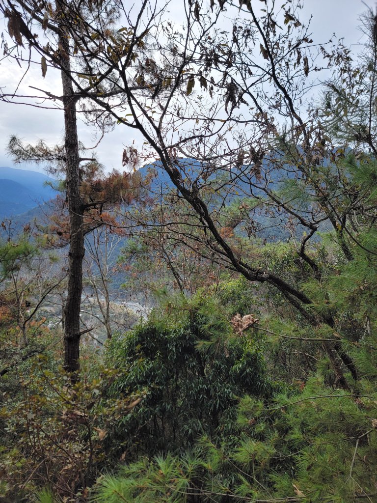 2026-0201-東卯山_3013014