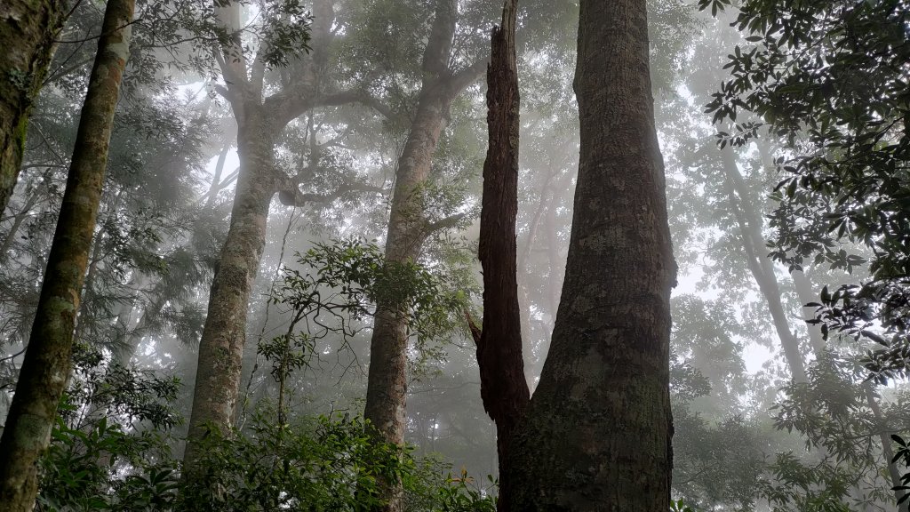 麥巴萊山_2224235