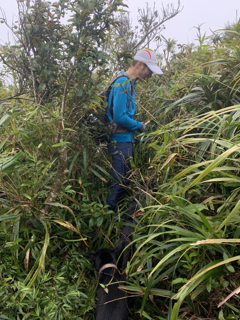 20260124屏東老佛山-老佛山南峰_2992292