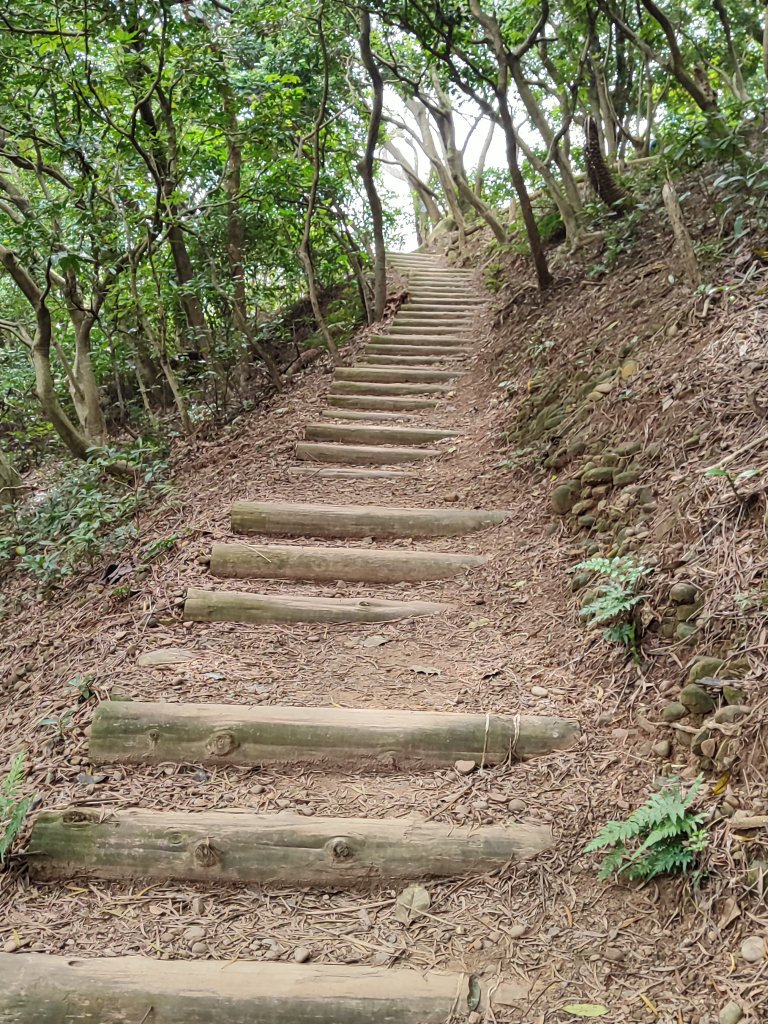 五酒桶山_3003919