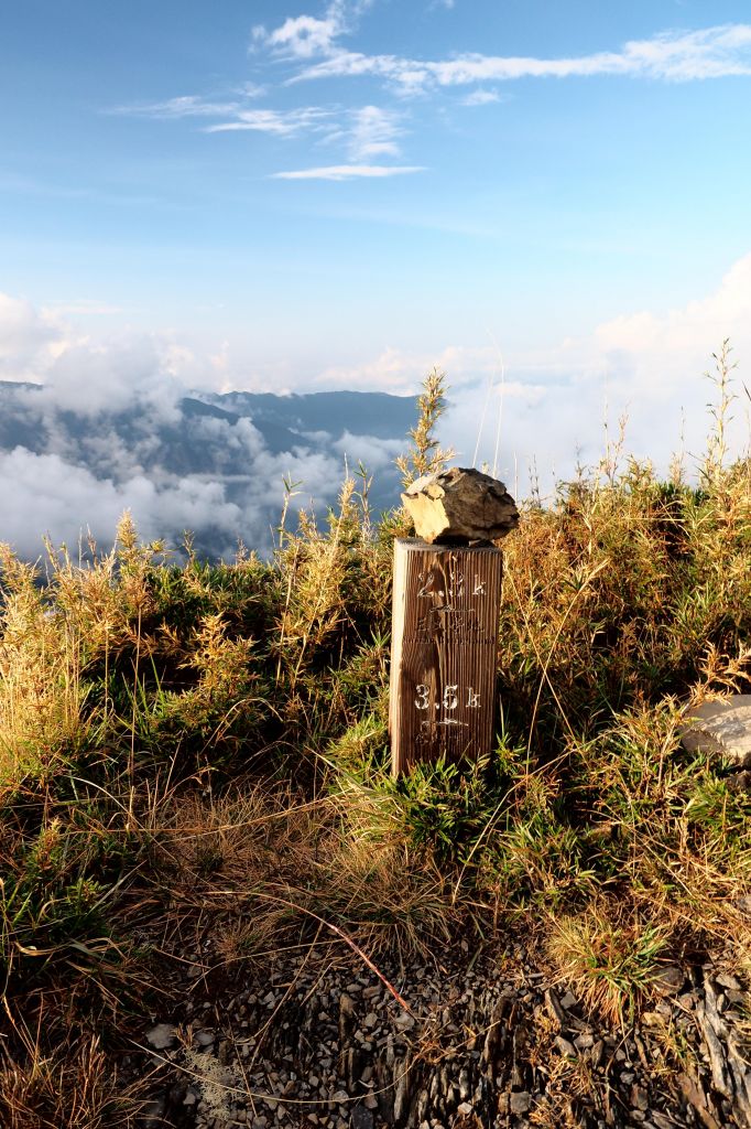 桃山獨走初秋_175078