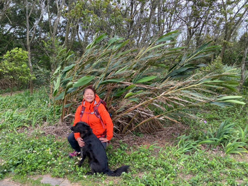 新竹十八尖山步道群_2106637