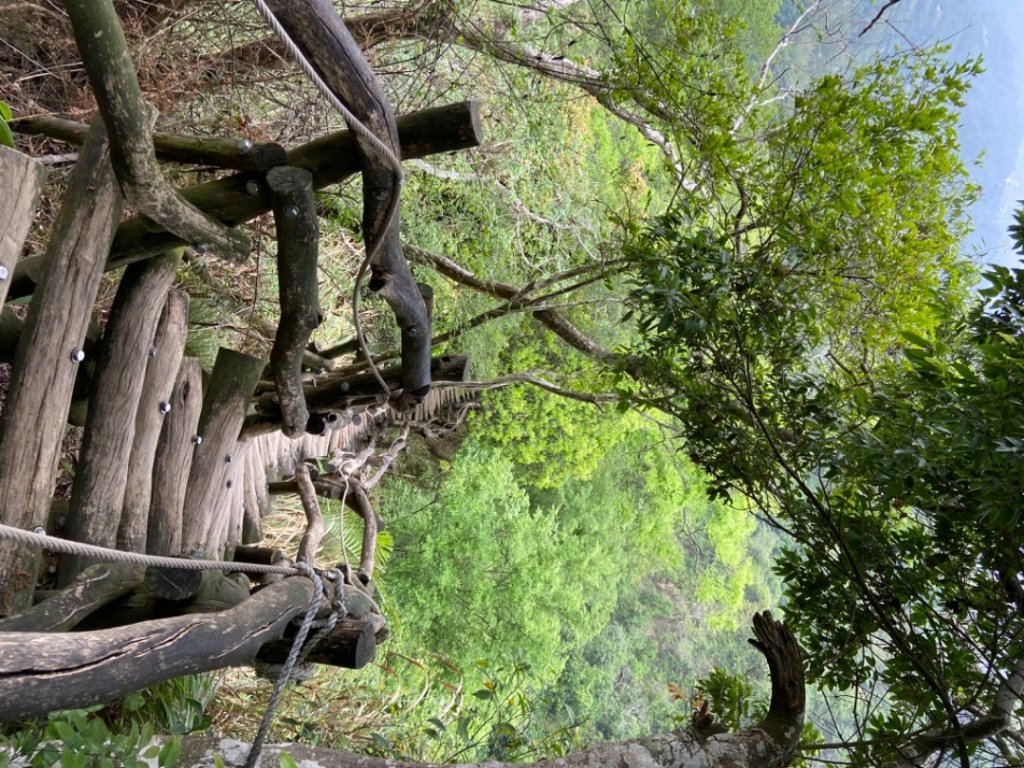 大坑2號原路來回_2130446