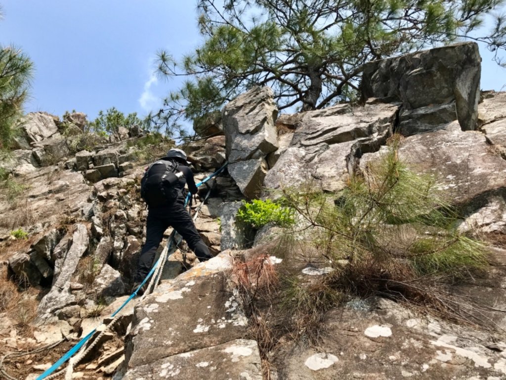 德芙蘭步道環走東卯山_565650