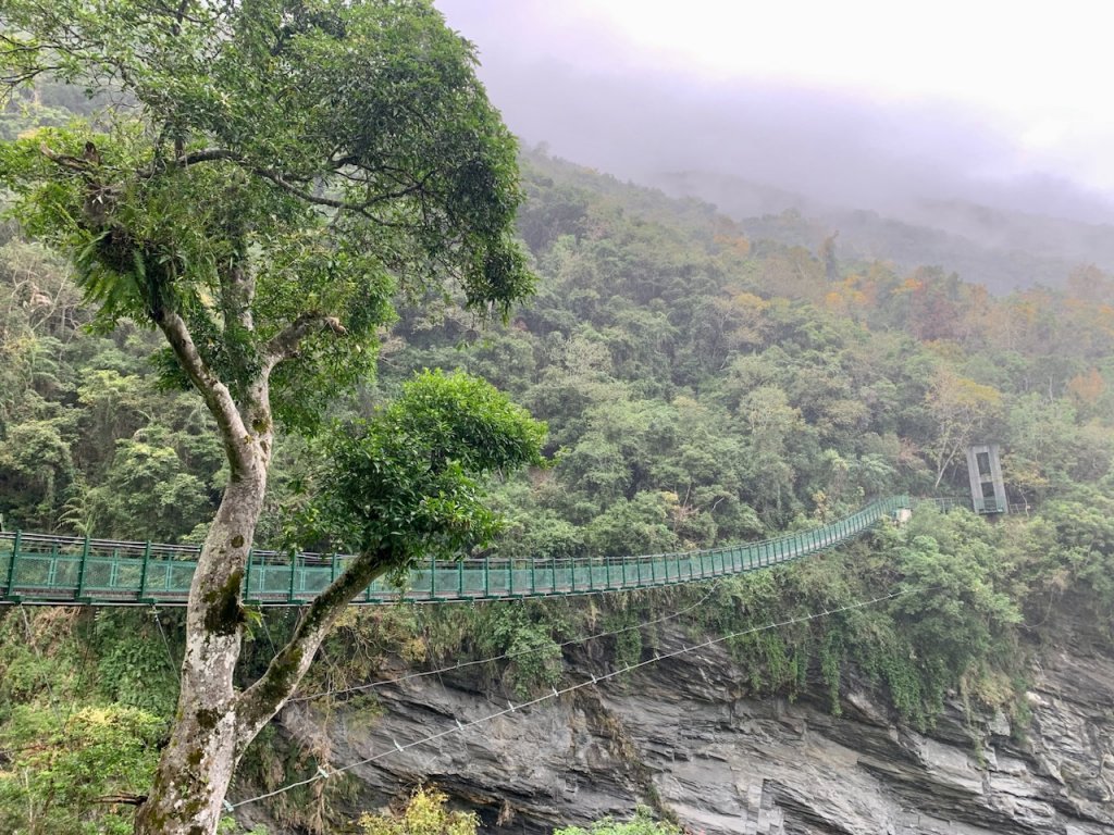 瓦拉米步道（八通關東段）_1992480