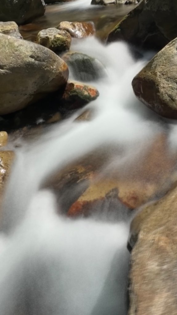 裡冷上唐麻丹O繞+蝴蝶谷_2742925