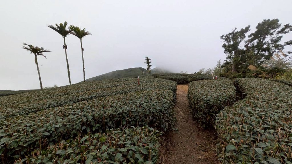 雲嘉五連峰 (大尖山、二尖山、馬鞍山、梨子腳山、太平山)_2991039