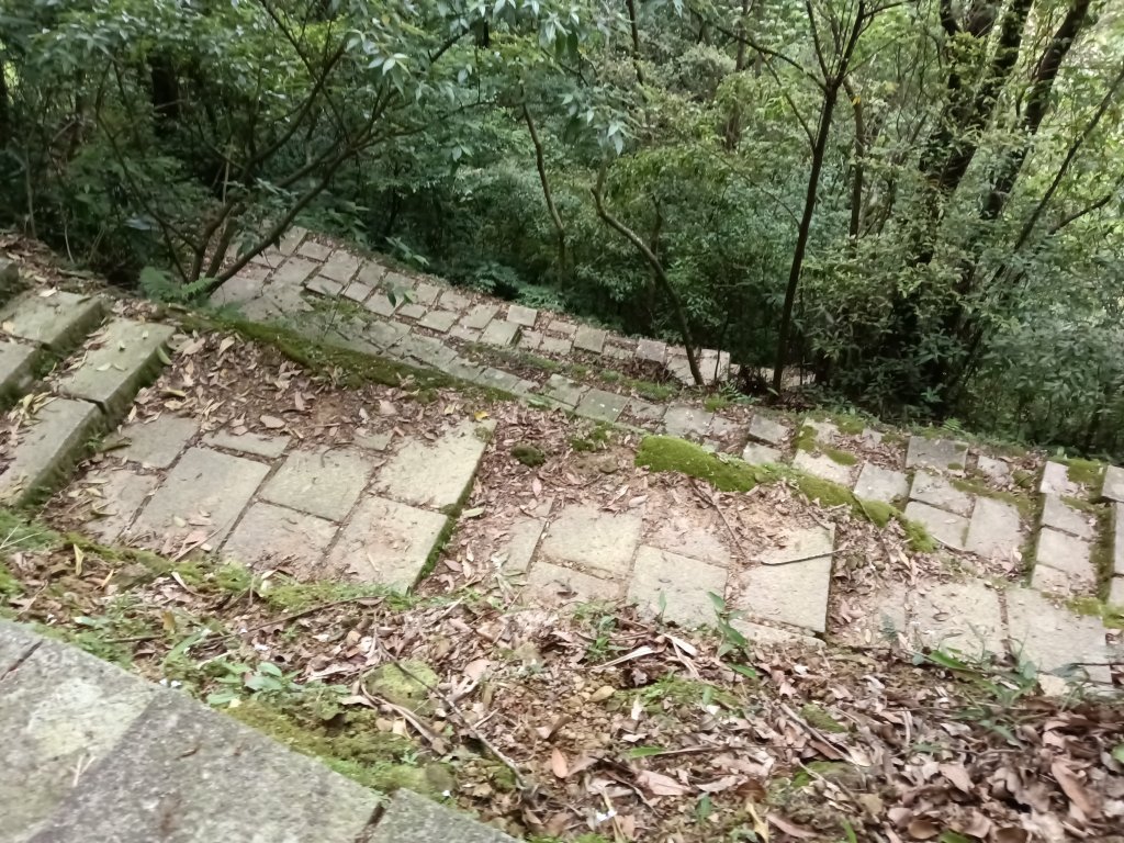 平溪區淡蘭山徑-平湖西步道+內平林山+東步道O型_2770004