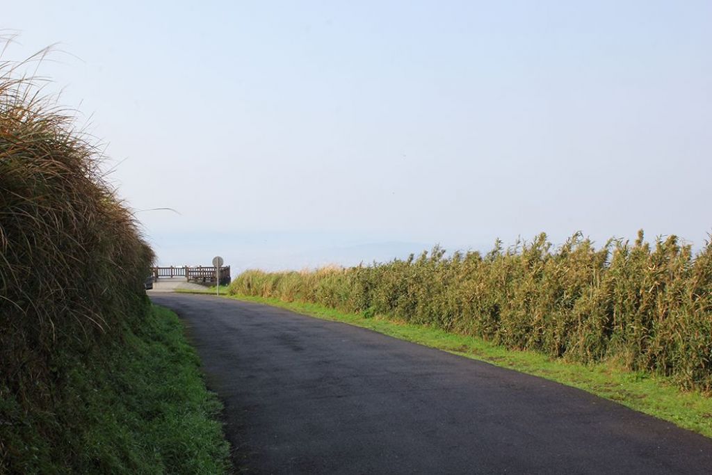 大屯山主、南、西峰O型_322160