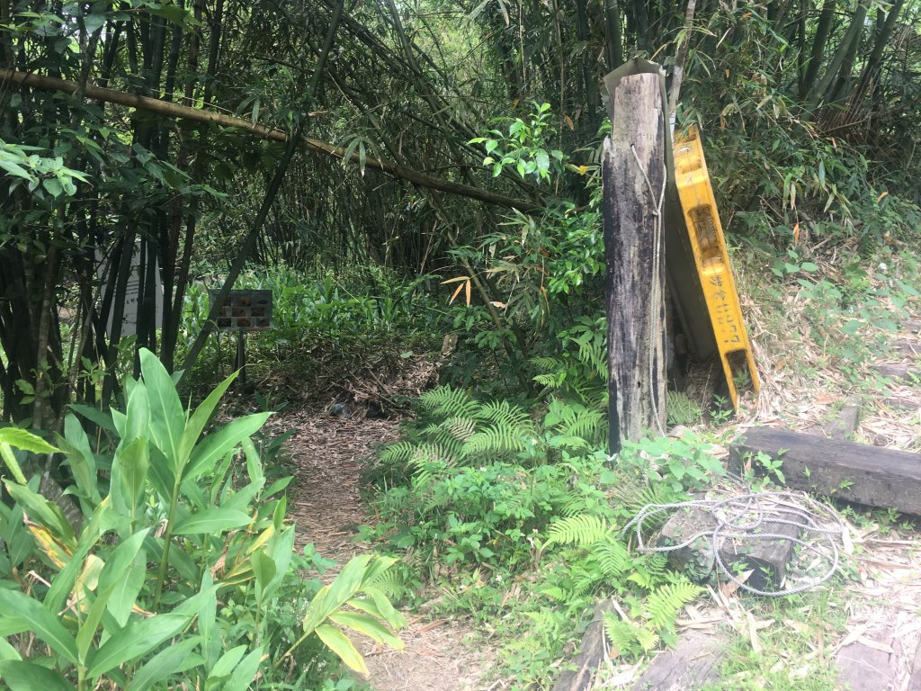 四寮溪戶外生態教室_571141