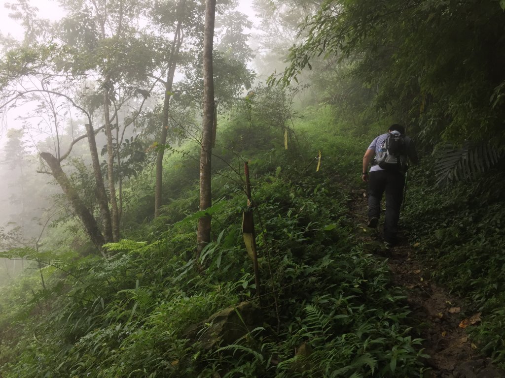 20221010台南雞籠山、九龍山、大凍山、黃牛山O型縱走_1878389