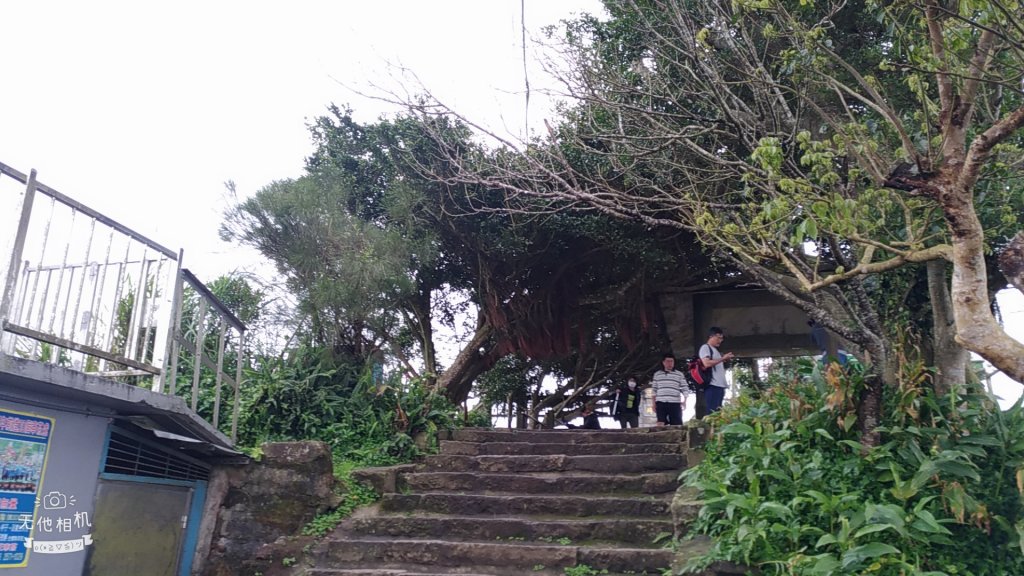 硬漢嶺登山步道_818351