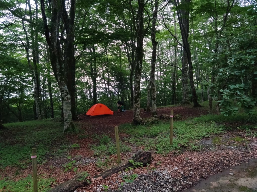 富士山御殿場線~海拔0至3776_2559112