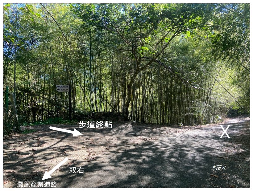 鳳凰谷步道(鹿谷鄉)_2690451
